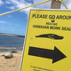 With so few left in the wild, monk seal resting places on Hawaii are protected by signs on public beaches.